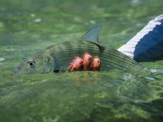 2022 Bairs Lodge PH Justin Pickett Fishing 4 scaled