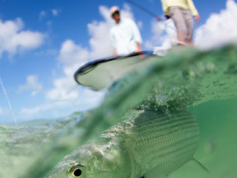 Fly Fishing in the Bahamas
