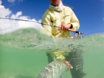 Fly Fishing in the Bahamas - Release