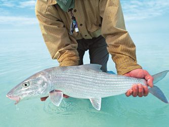 Bonefish Closeup 2 - Photo by Tom Montgomer