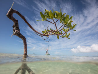 Fishing in the Bahamas