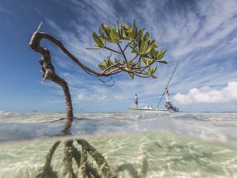 The Fishing in Bahamas